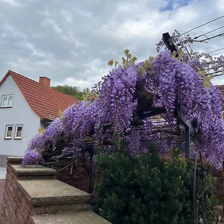 Kroenchen Großheubach Exterior foto